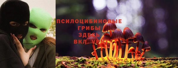 бошки Абаза