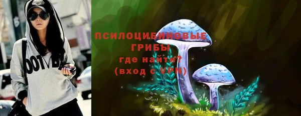 бошки Абаза