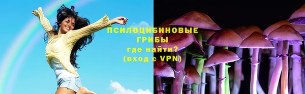 бошки Абаза